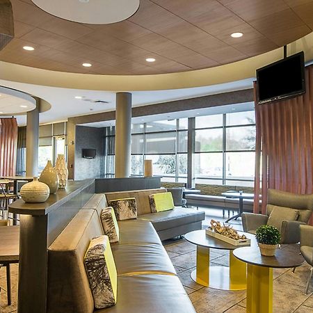 Springhill Suites Tampa North/Tampa Palms Ngoại thất bức ảnh
