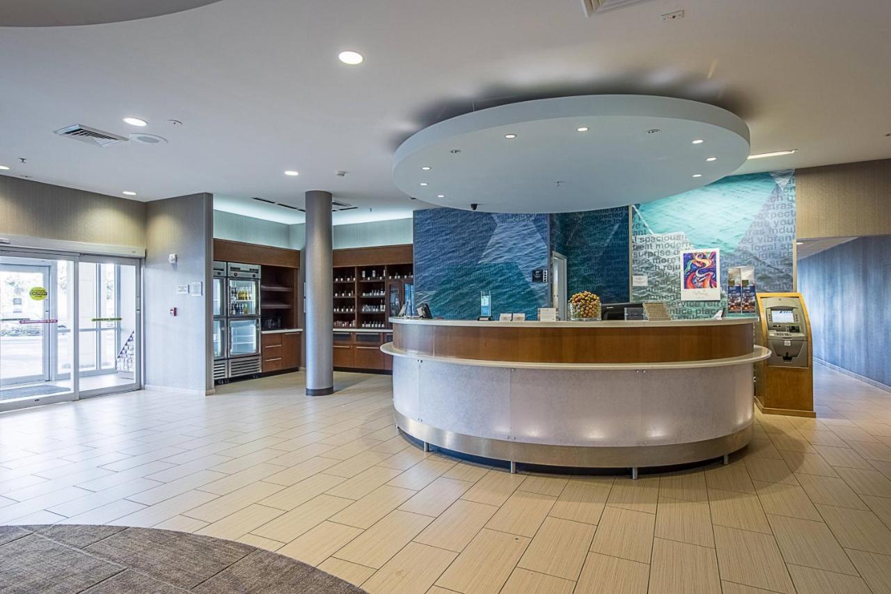 Springhill Suites Tampa North/Tampa Palms Ngoại thất bức ảnh