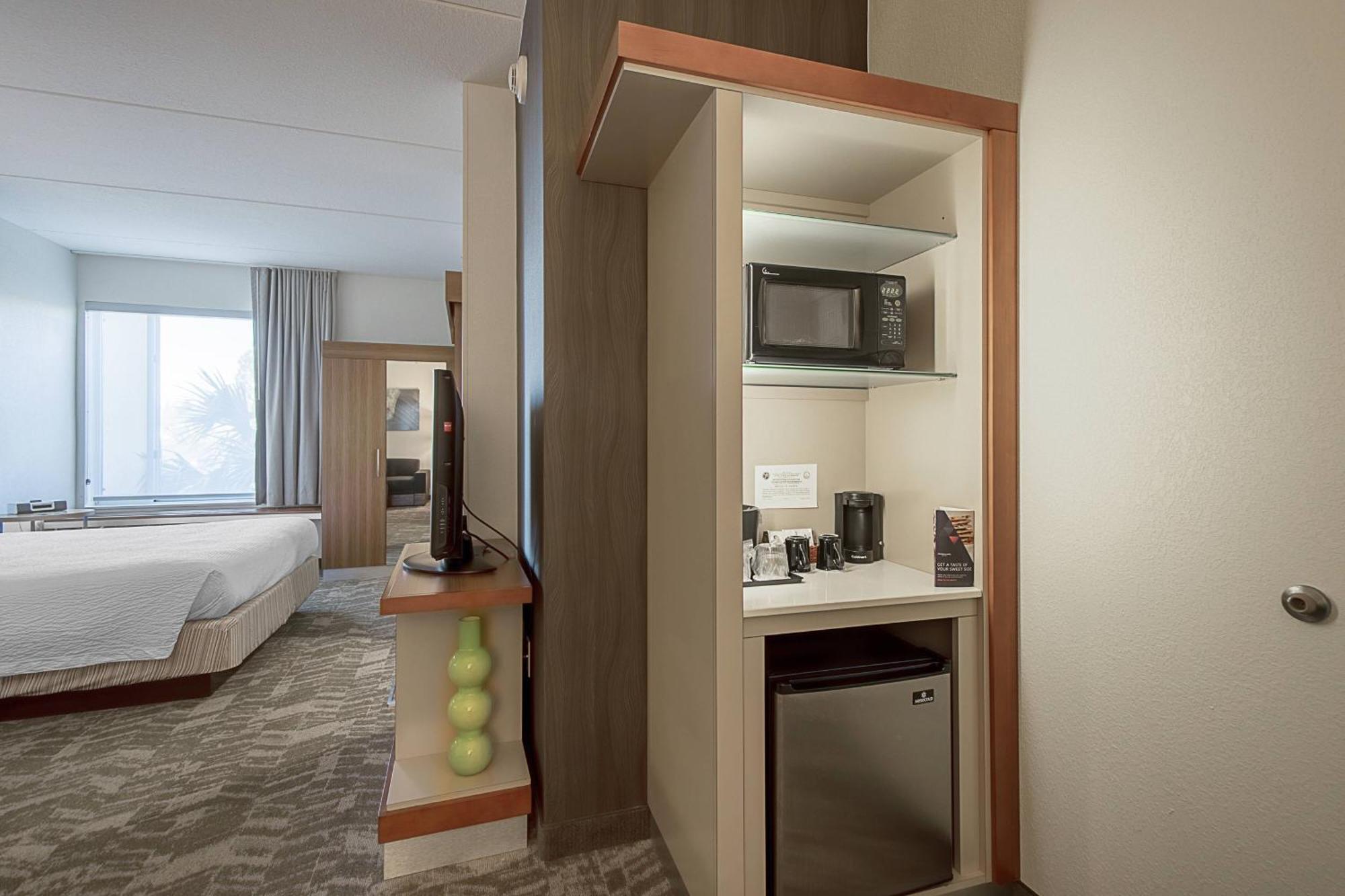 Springhill Suites Tampa North/Tampa Palms Ngoại thất bức ảnh
