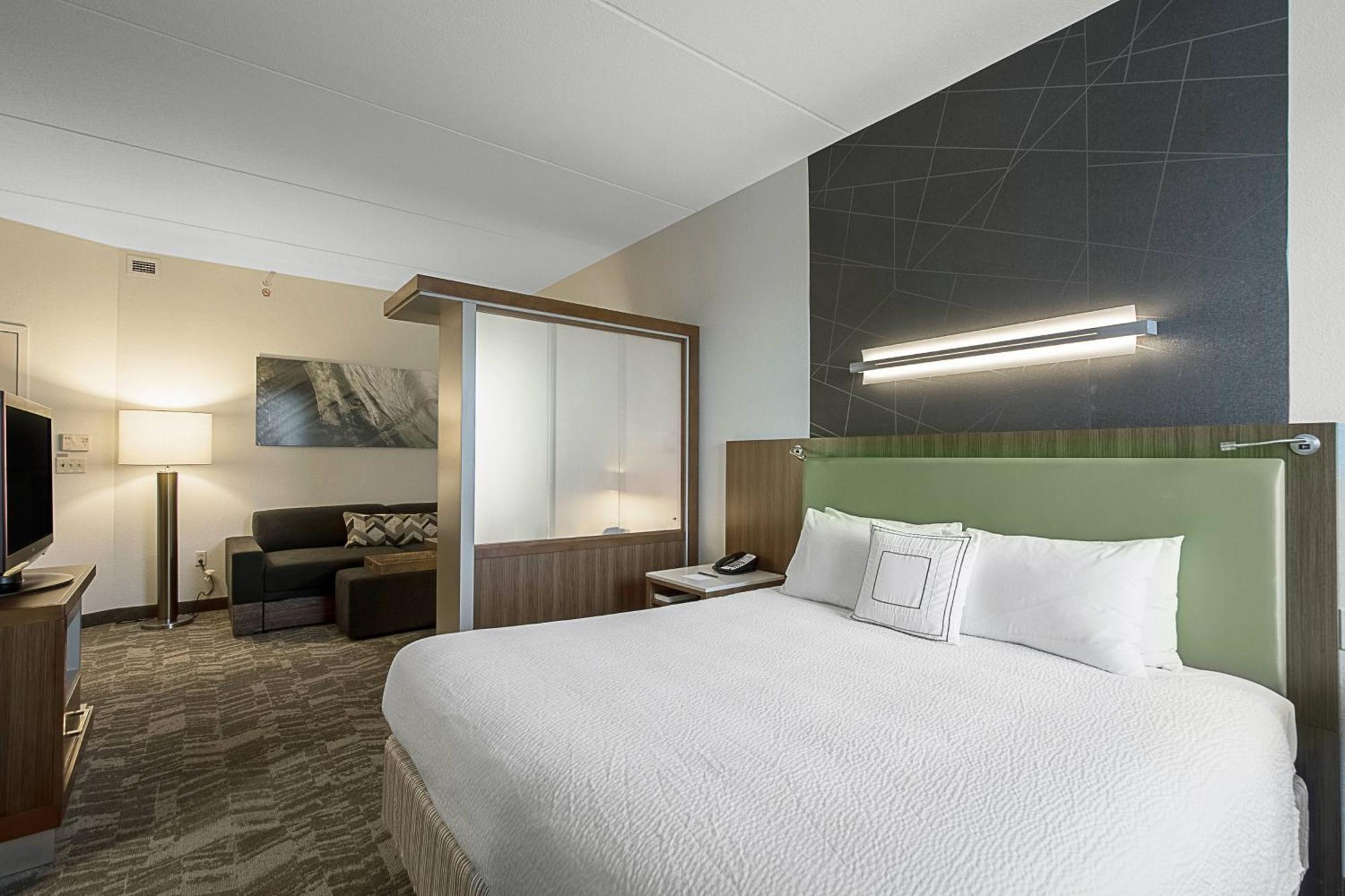 Springhill Suites Tampa North/Tampa Palms Ngoại thất bức ảnh