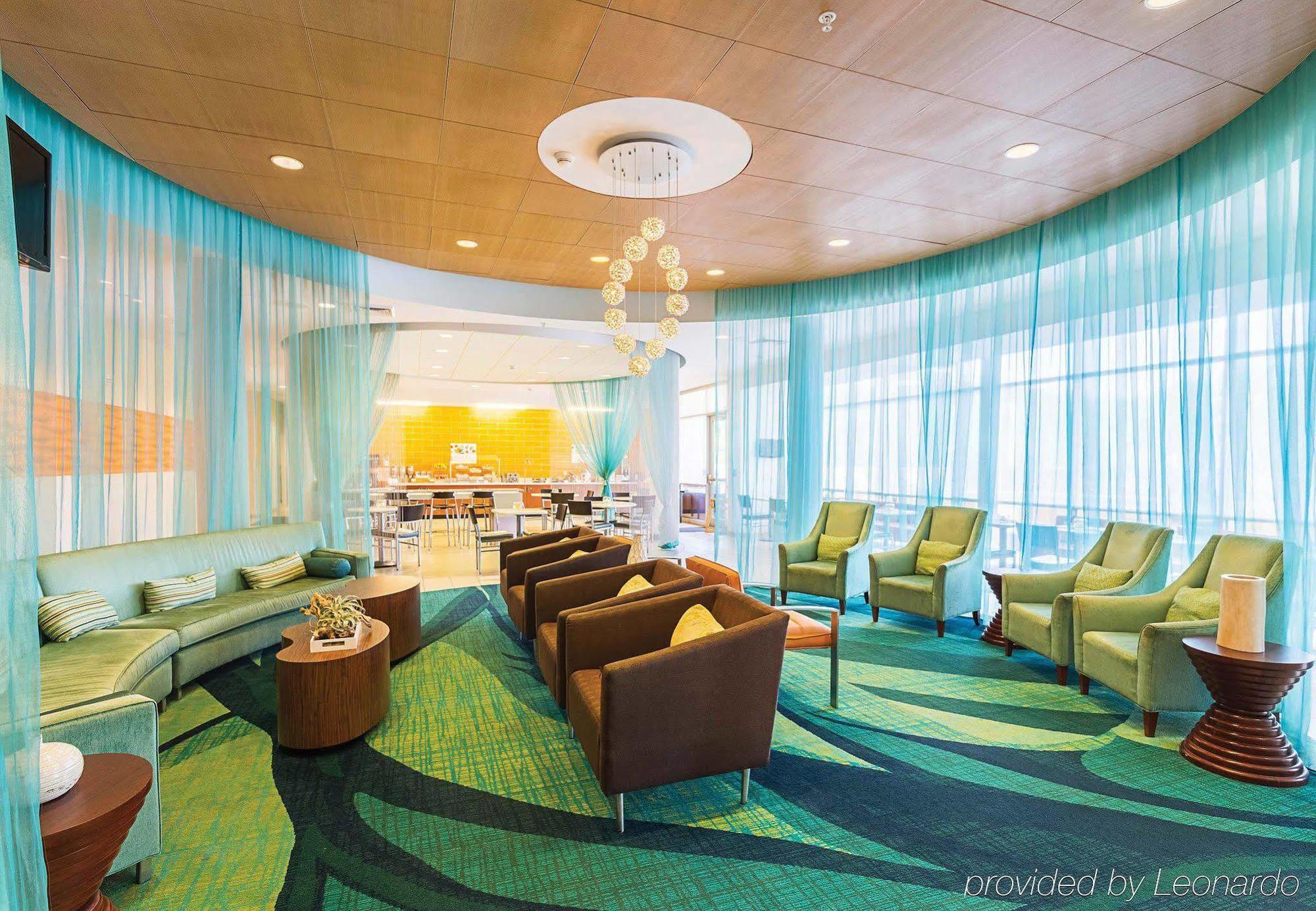 Springhill Suites Tampa North/Tampa Palms Ngoại thất bức ảnh